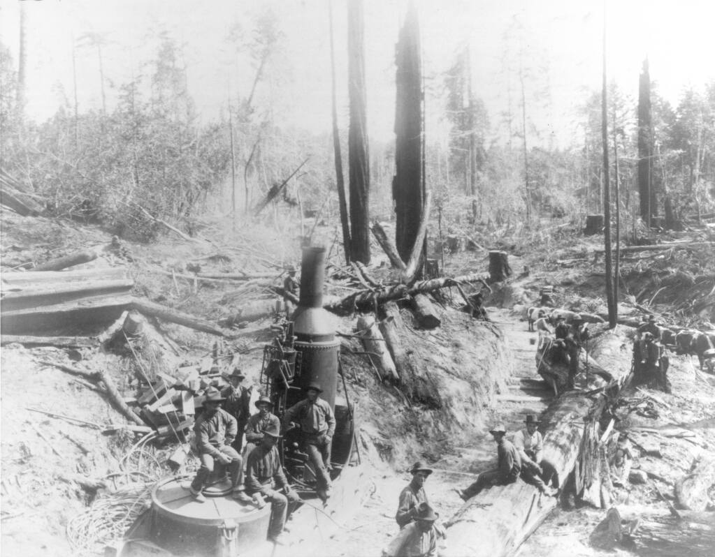 Unidentified men and a donkey engine at the steam-powered Sturgeon's Mill, possibly during the late 1920s in Occidental. (Sonoma County Historical Society/Sonoma County Library)